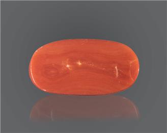 Red Coral Natural Certified 18.74 RTS ( 8144 )